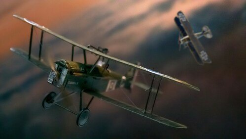 Basic Rules for playing Aviator